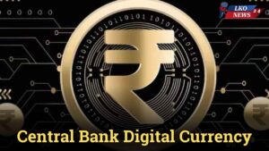Central Bank Digital Currency