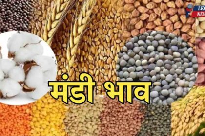 Tur prices fall, wheat and soybean prices weaken