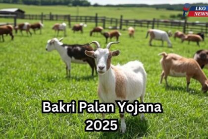 Bakri Palan Yojana 2025