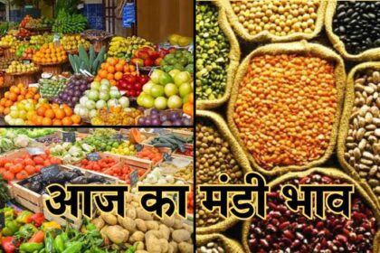 Mandi Bhav 10 February 2025