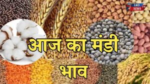 Mandi Bhav 12 February 2025