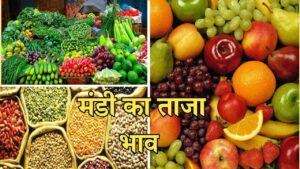 Mandi Bhav 13 February 2025