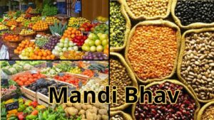 Mandi Bhav 15 February 2025