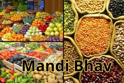 Mandi Bhav 15 February 2025