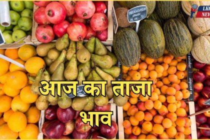 Mandi Bhav Rate 14 February 2025