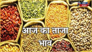 Mandi Bhav Rate 16 February 2025