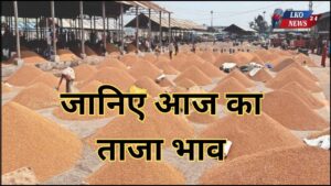 Mandi Bhav Rate 17 February 2025