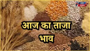 Mandi Bhav Rate 19 February 2025
