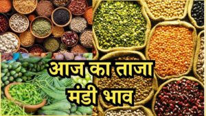 Mandi Bhav Rate 24 February 2025