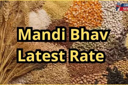 Mandi Bhav Rate 26 February 2025
