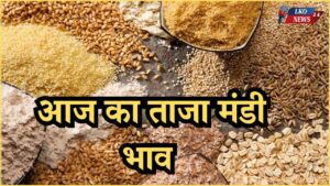 Mandi Bhav Rate 28 February 2025