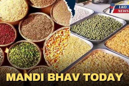 Mandi Bhav Rate 4 February 2025