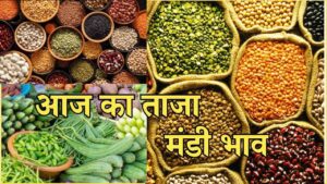 Mandi Bhav Rate 5 February 2025