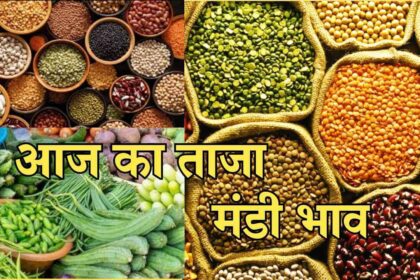 Mandi Bhav Rate 5 February 2025