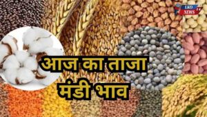 Mandi Bhav Rate 6 February 2025