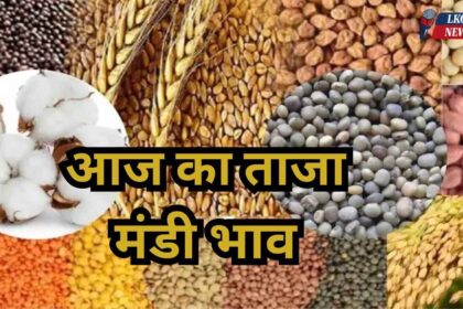 Mandi Bhav Rate 6 February 2025