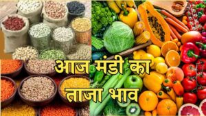 Mandi Bhav Rate 8 February 2025