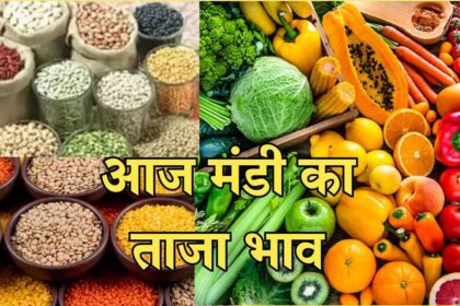 Mandi Bhav Rate 8 February 2025