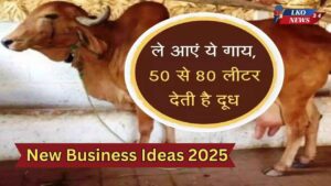 New Business Ideas 2025