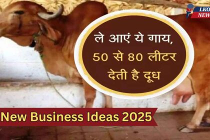 New Business Ideas 2025