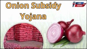 Onion Subsidy Yojana