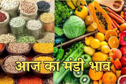 Today Mandi Bhav Rate 02.02.2025