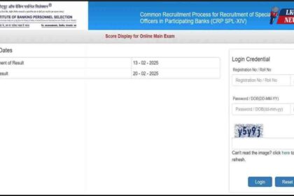 IBPS SO Mains Scorecard Out