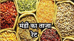 Mandi Bhav Rate 1 March 2025