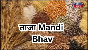 Mandi Bhav Rate 24 March 2025
