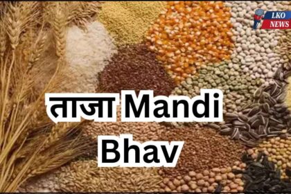 Mandi Bhav Rate 24 March 2025