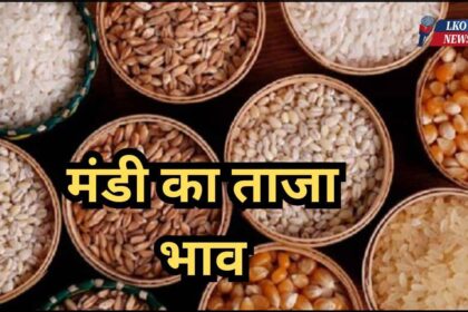 Mandi Bhav Rate 5 March 2025