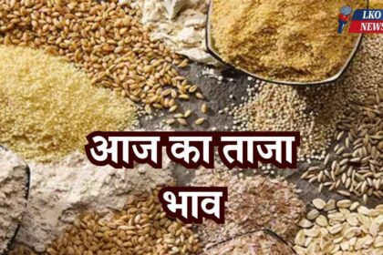 Mandi Bhav Rate 6 March 2025