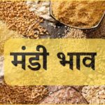 Mandi Bhav Rate 7 March 2025