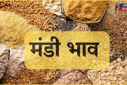 Mandi Bhav Rate 7 March 2025