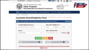 UPSSSC Junior Assistant 2022 DV Test