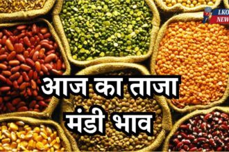 Mandi Bhav Rate 2 April 2025