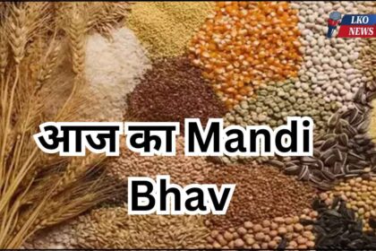 Mandi Bhav Rate 4 April 2025